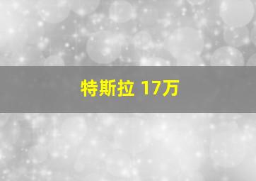 特斯拉 17万